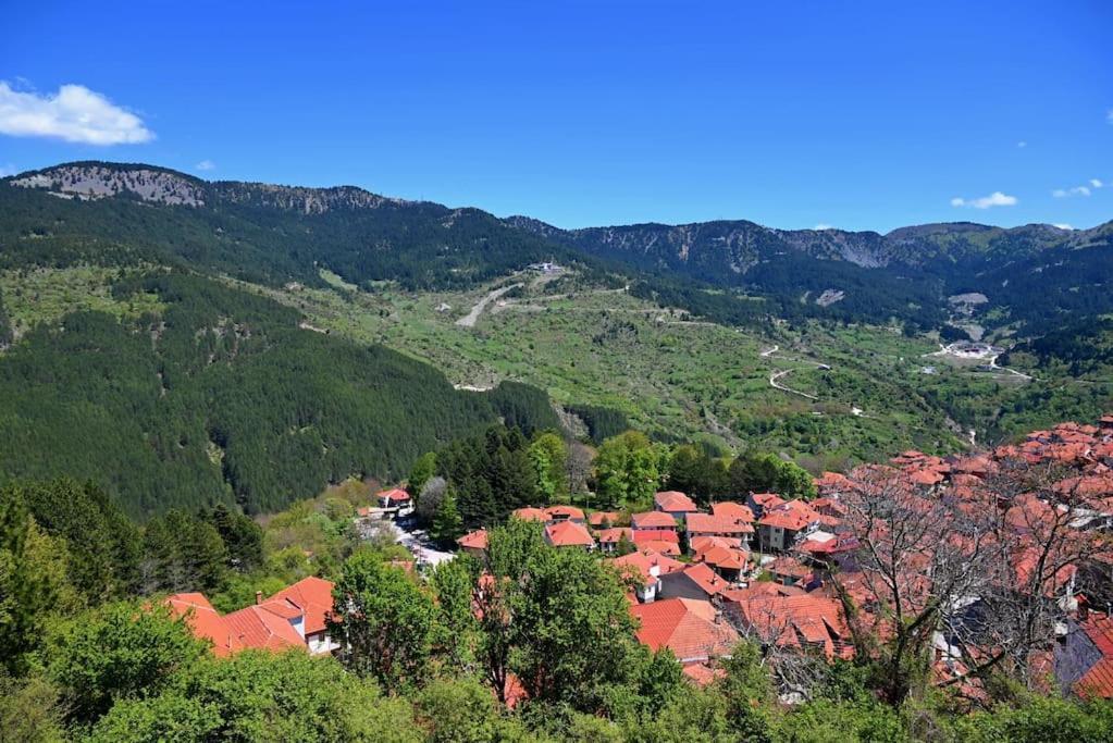 Ververitsa'S House Metsovo Exterior foto